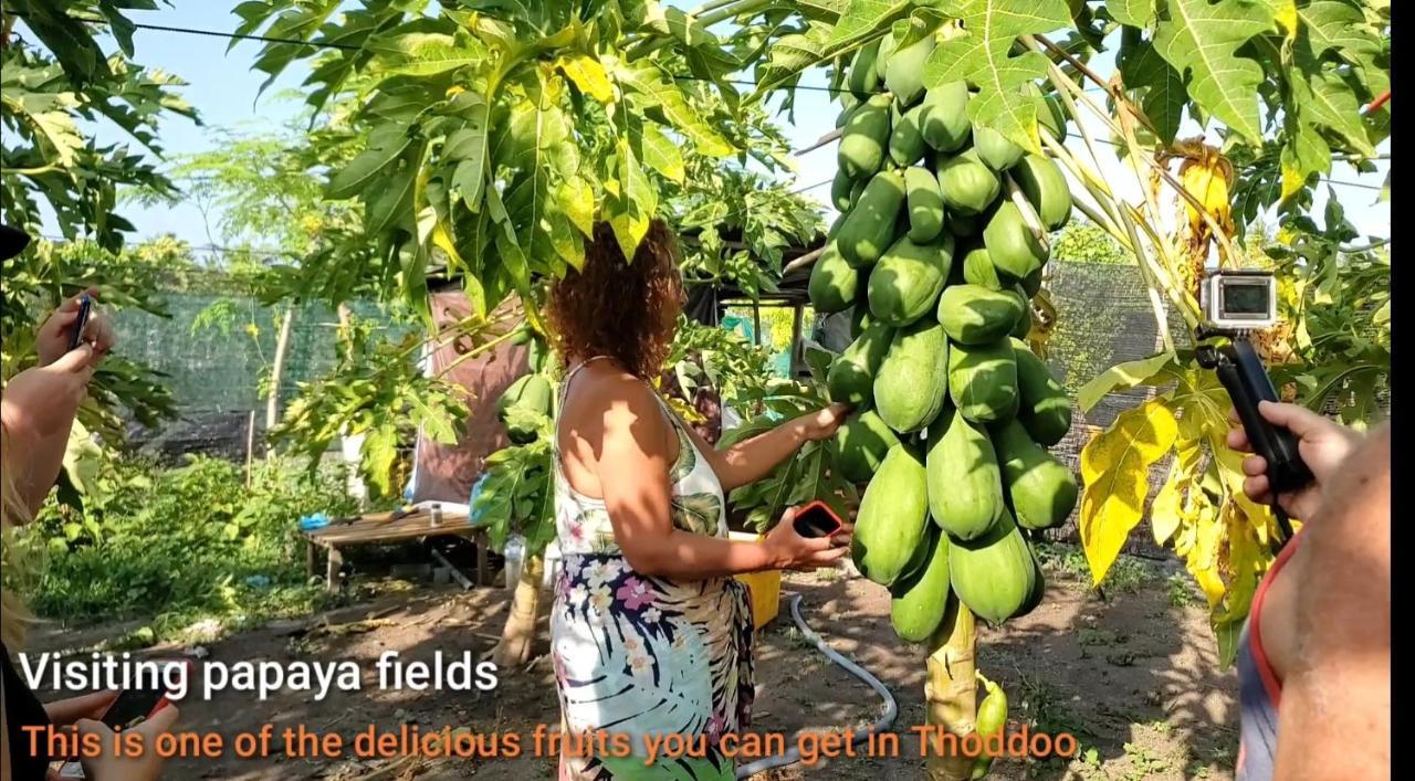 Thoddoo Beach Holiday Εξωτερικό φωτογραφία