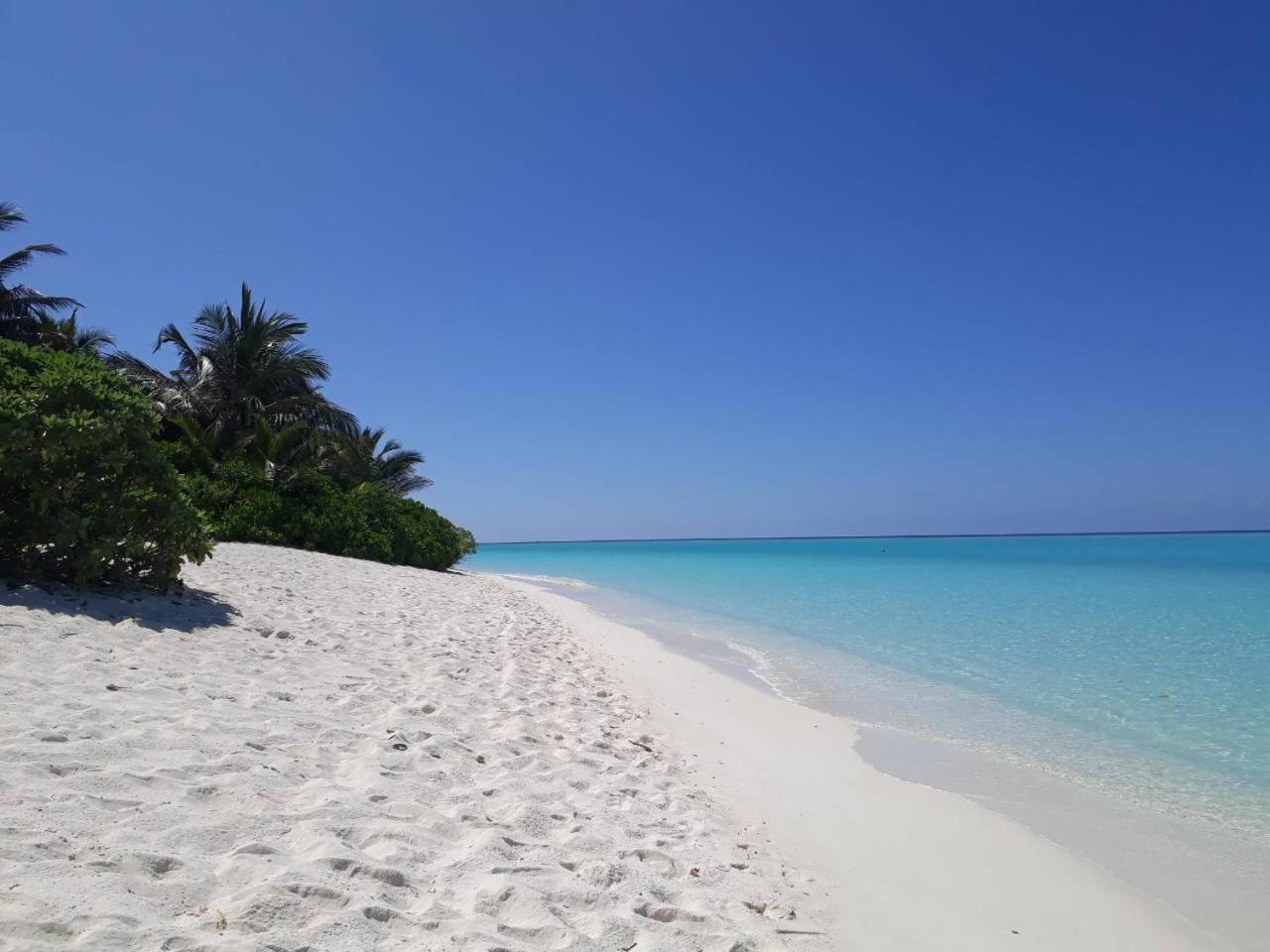 Thoddoo Beach Holiday Εξωτερικό φωτογραφία