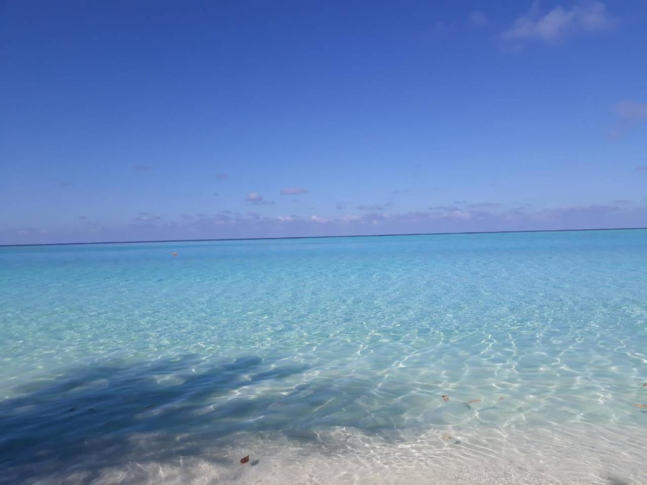 Thoddoo Beach Holiday Εξωτερικό φωτογραφία